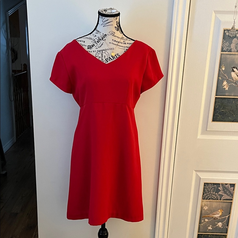 Chic Scarlet Mini Dress